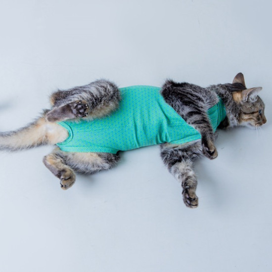 Îmbrăcăminte de Protecție UltraTech – Exclusiv pentru Pisici Nr. 3 Verde (UV 50 plus, Antimicrobian, Dry)